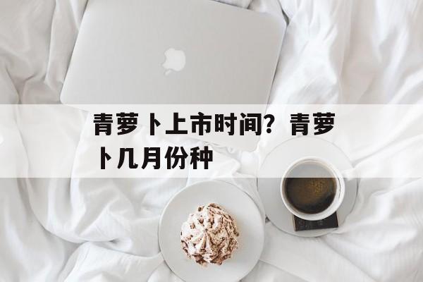青萝卜上市时间？青萝卜几月份种-第1张图片-