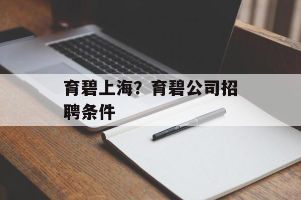 育碧上海？育碧公司招聘条件-第1张图片-
