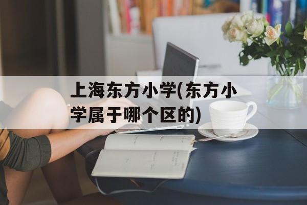 上海东方小学(东方小学属于哪个区的)-第1张图片-