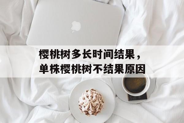 樱桃树多长时间结果，单株樱桃树不结果原因-第1张图片-