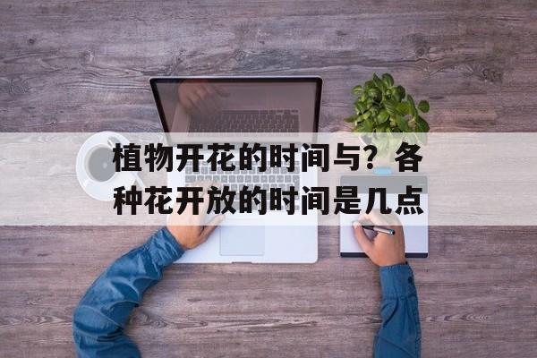 植物开花的时间与？各种花开放的时间是几点-第1张图片-
