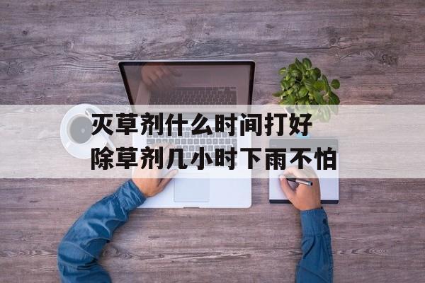 灭草剂什么时间打好 除草剂几小时下雨不怕-第1张图片-