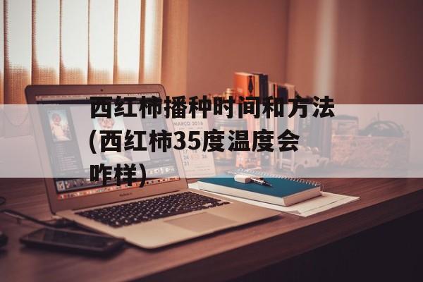西红柿播种时间和方法(西红柿35度温度会咋样)-第1张图片-