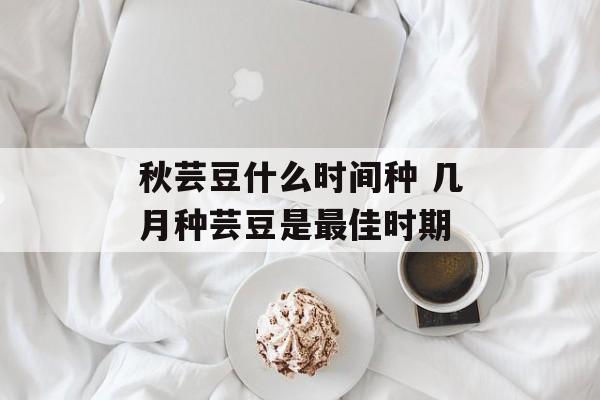 秋芸豆什么时间种 几月种芸豆是最佳时期-第1张图片-