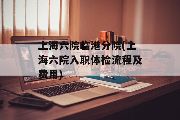 上海六院临港分院(上海六院入职体检流程及费用)-第1张图片-
