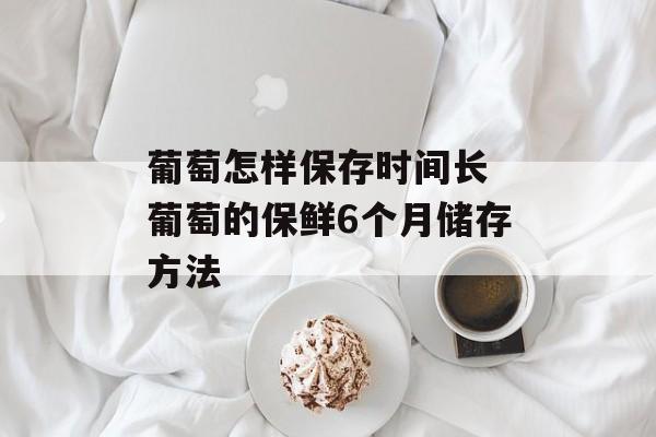 葡萄怎样保存时间长 葡萄的保鲜6个月储存方法-第1张图片-
