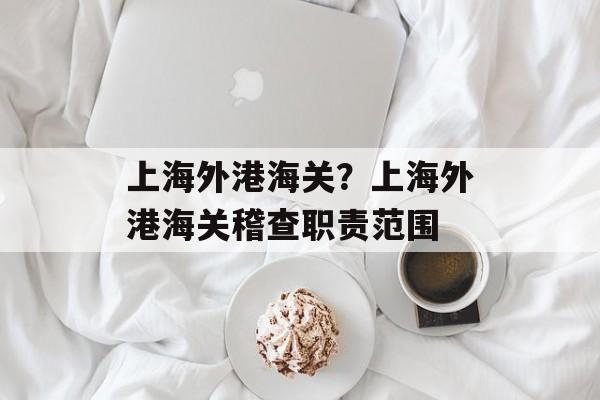 上海外港海关？上海外港海关稽查职责范围-第1张图片-