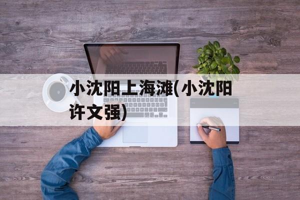 小沈阳上海滩(小沈阳许文强)-第1张图片-