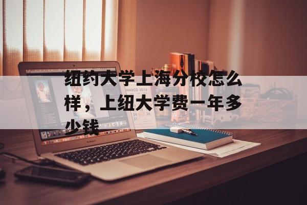 纽约大学上海分校怎么样，上纽大学费一年多少钱-第1张图片-