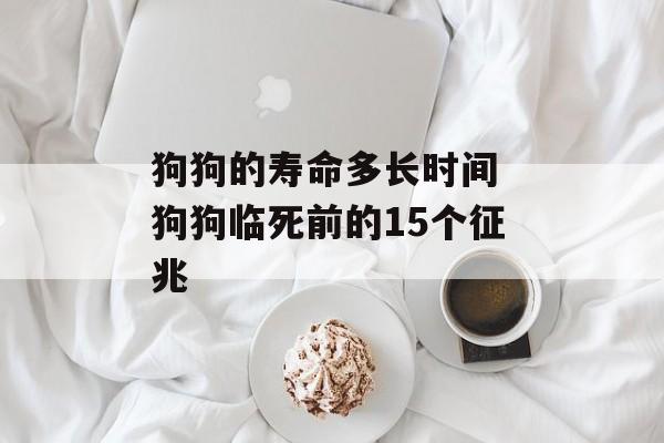 狗狗的寿命多长时间 狗狗临死前的15个征兆-第1张图片-