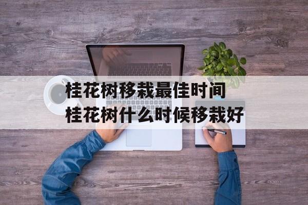 桂花树移栽最佳时间 桂花树什么时候移栽好-第1张图片-