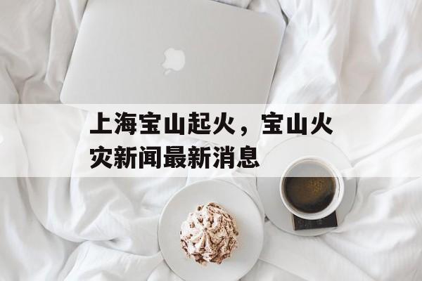 上海宝山起火，宝山火灾新闻最新消息-第1张图片-