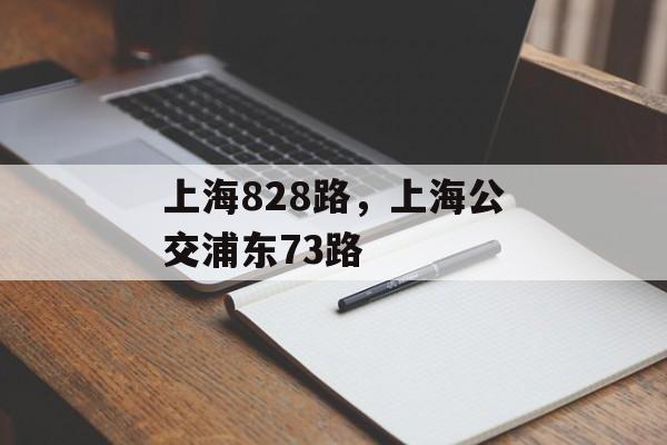 上海828路，上海公交浦东73路-第1张图片-