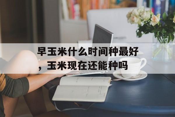 早玉米什么时间种最好，玉米现在还能种吗-第1张图片-