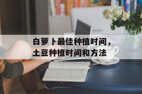 白萝卜最佳种植时间，土豆种植时间和方法-第1张图片-