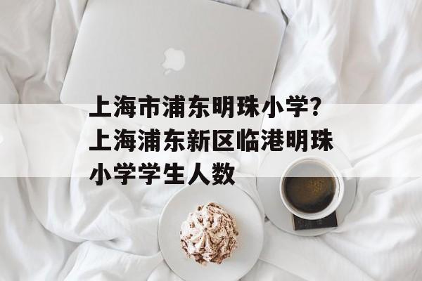 上海市浦东明珠小学？上海浦东新区临港明珠小学学生人数-第1张图片-