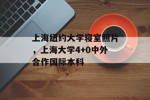 上海纽约大学寝室照片，上海大学4+0中外合作国际本科-第1张图片-