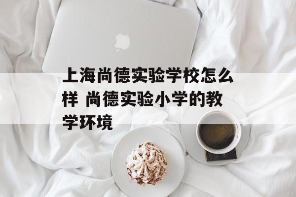 上海尚德实验学校怎么样 尚德实验小学的教学环境-第1张图片-