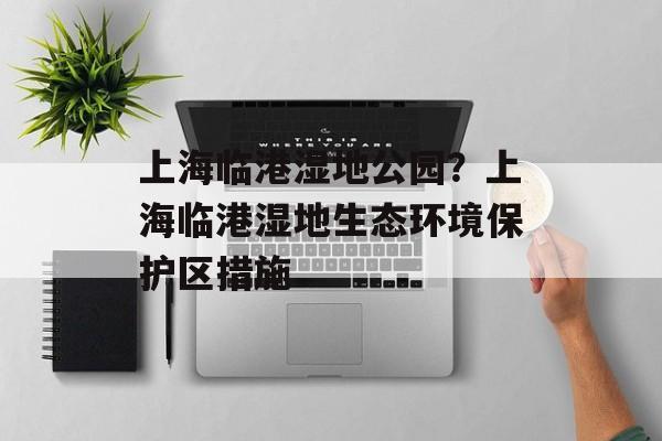 上海临港湿地公园？上海临港湿地生态环境保护区措施-第1张图片-