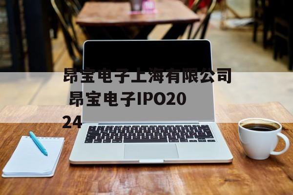 昂宝电子上海有限公司 昂宝电子IPO2024-第1张图片-