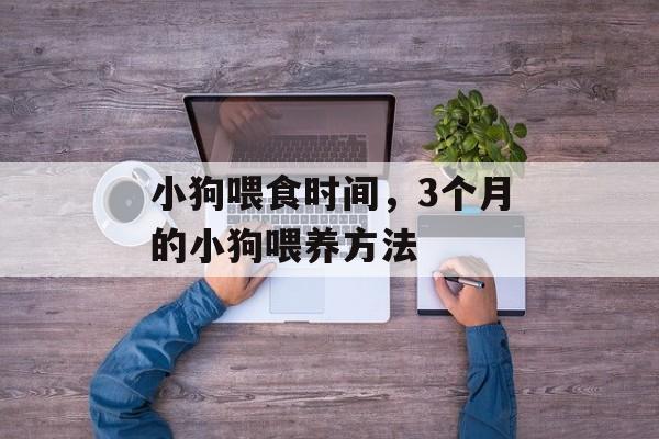 小狗喂食时间，3个月的小狗喂养方法-第1张图片-