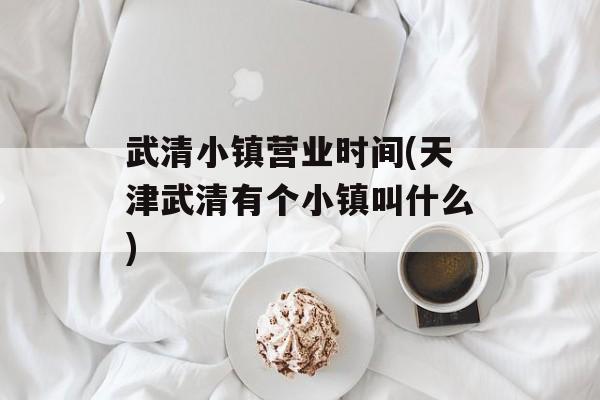 武清小镇营业时间(天津武清有个小镇叫什么)-第1张图片-