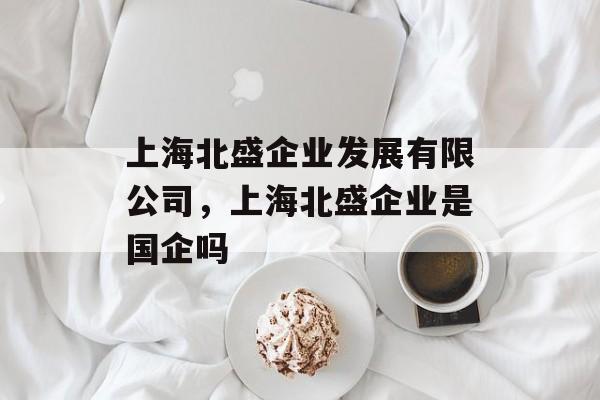 上海北盛企业发展有限公司，上海北盛企业是国企吗-第1张图片-