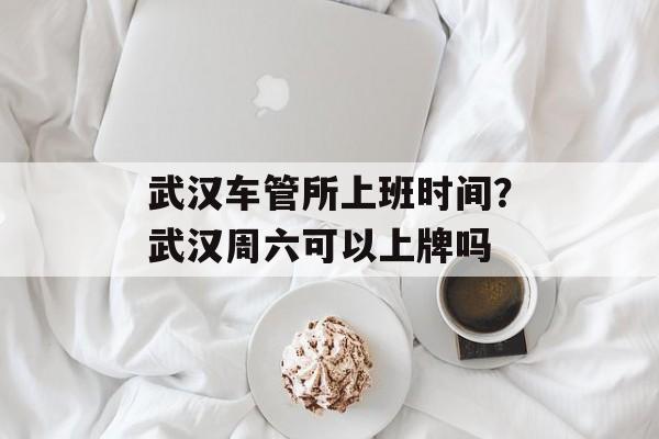 武汉车管所上班时间？武汉周六可以上牌吗-第1张图片-
