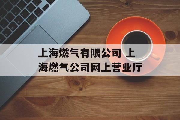 上海燃气有限公司 上海燃气公司网上营业厅-第1张图片-