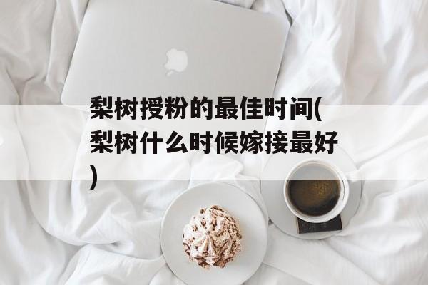 梨树授粉的最佳时间(梨树什么时候嫁接最好)-第1张图片-