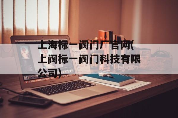 上海标一阀门厂官网(上阀标一阀门科技有限公司)-第1张图片-