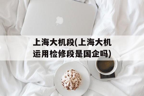 上海大机段(上海大机运用检修段是国企吗)-第1张图片-