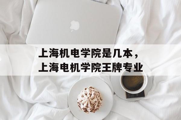 上海机电学院是几本，上海电机学院王牌专业-第1张图片-