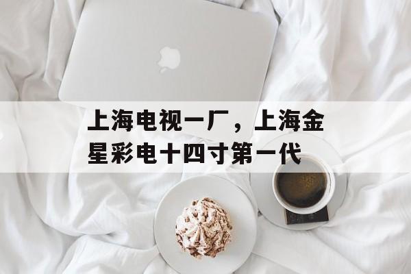 上海电视一厂，上海金星彩电十四寸第一代-第1张图片-