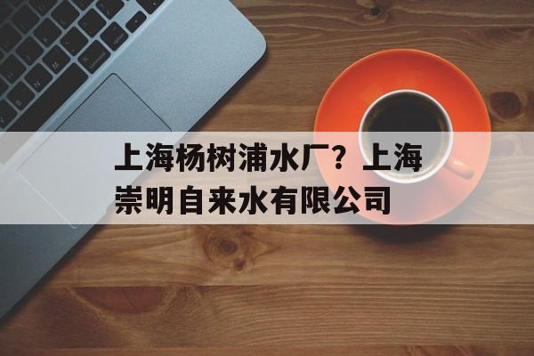 上海杨树浦水厂？上海崇明自来水有限公司-第1张图片-