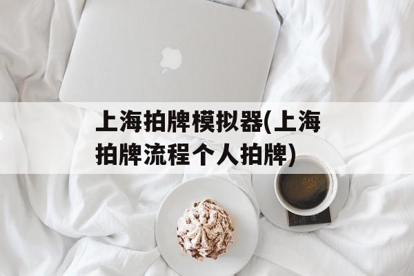 上海拍牌模拟器(上海拍牌流程个人拍牌)-第1张图片-