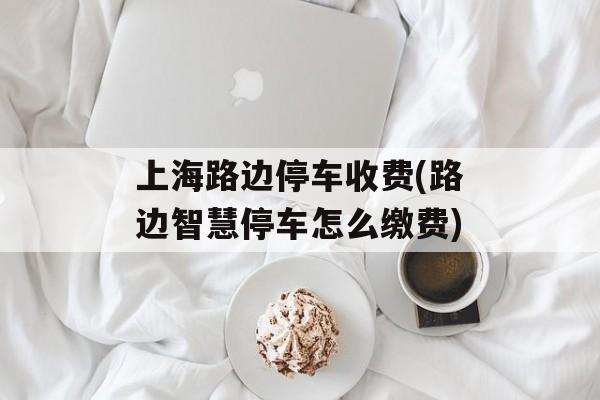 上海路边停车收费(路边智慧停车怎么缴费)-第1张图片-