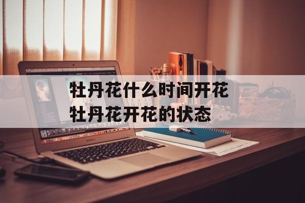 牡丹花什么时间开花 牡丹花开花的状态-第1张图片-