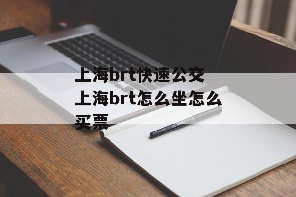 上海brt快速公交 上海brt怎么坐怎么买票-第1张图片-