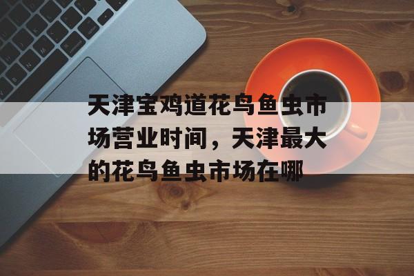 天津宝鸡道花鸟鱼虫市场营业时间，天津最大的花鸟鱼虫市场在哪-第1张图片-