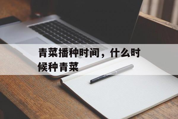 青菜播种时间，什么时候种青菜-第1张图片-