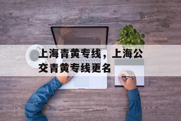 上海青黄专线，上海公交青黄专线更名-第1张图片-