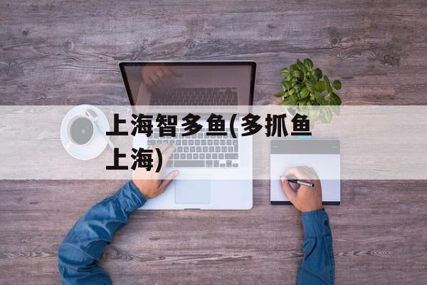 上海智多鱼(多抓鱼 上海)-第1张图片-