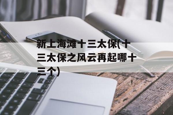 新上海滩十三太保(十三太保之风云再起哪十三个)-第1张图片-