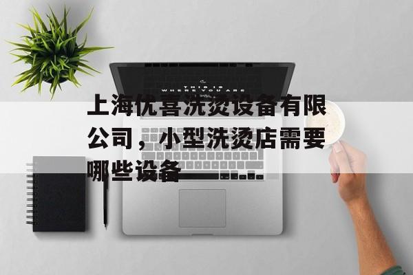 上海优喜洗烫设备有限公司，小型洗烫店需要哪些设备-第1张图片-