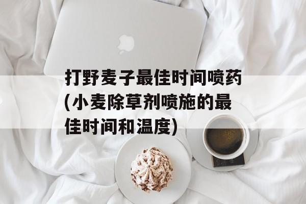 打野麦子最佳时间喷药(小麦除草剂喷施的最佳时间和温度)-第1张图片-