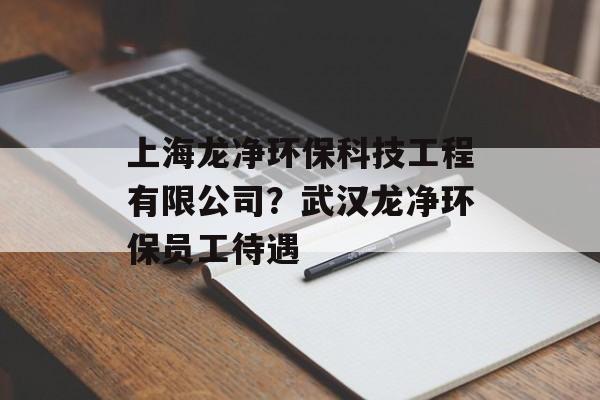上海龙净环保科技工程有限公司？武汉龙净环保员工待遇-第1张图片-