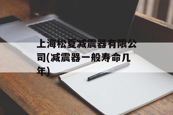上海松夏减震器有限公司(减震器一般寿命几年)-第1张图片-