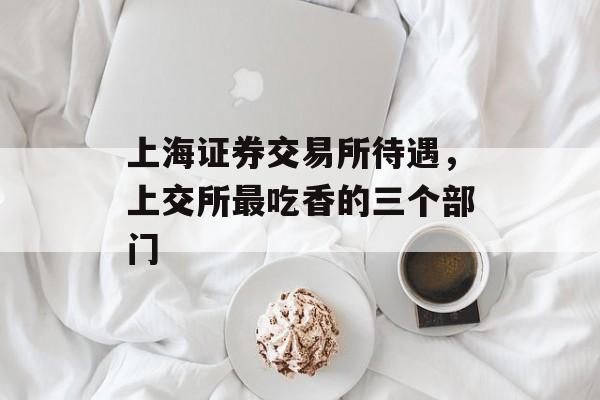 上海证券交易所待遇，上交所最吃香的三个部门-第1张图片-