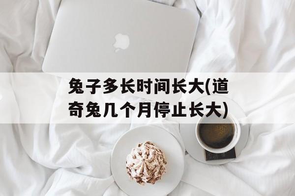 兔子多长时间长大(道奇兔几个月停止长大)-第1张图片-